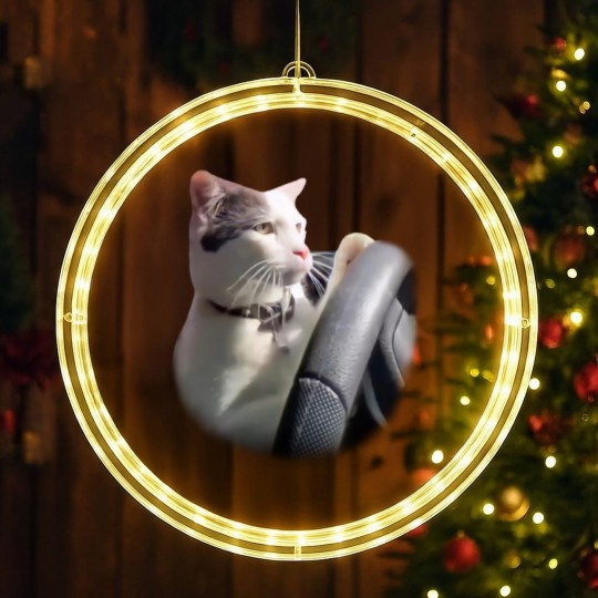 Discover Cat Driving A Car Instagram Katze LED Christmas Window Lights