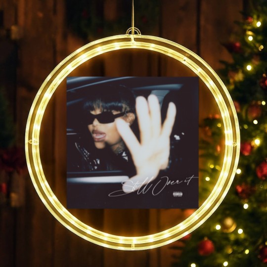 Discover Summer Walker LED Christmas Window Lights