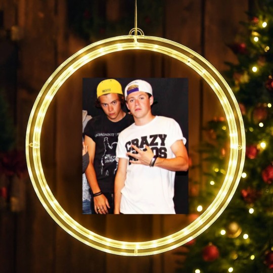 Discover Frat Narry Graphic LED Christmas Window Lights, Frat Boy Niall LED Christmas Window Lights, Harry And Niall Frat Boy LED Christmas Window Lights