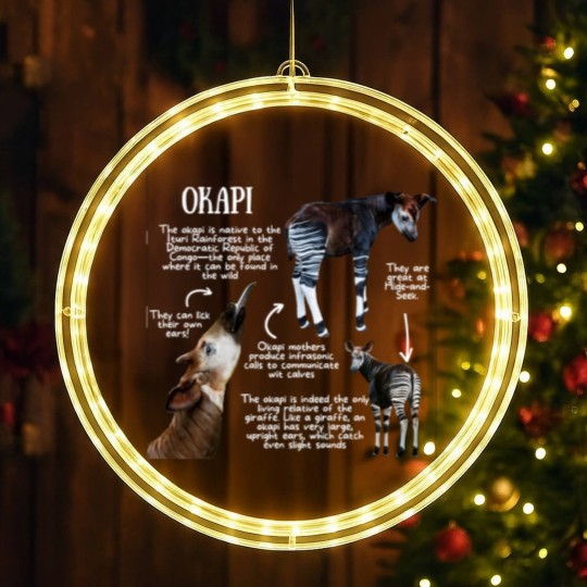 Discover Animal Facts - Okapi - Okapi - LED Christmas Window Lights