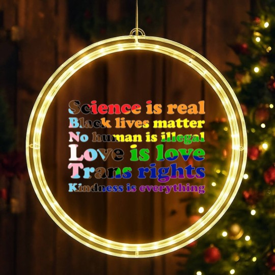 Discover Progress Pride Flag Science is real Black lives matter Love is love LED Christmas Window Lights