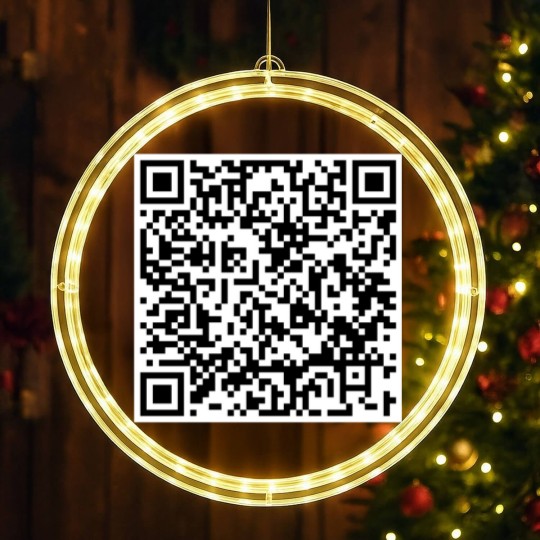 Discover F You QR Code LED Christmas Window Lights
