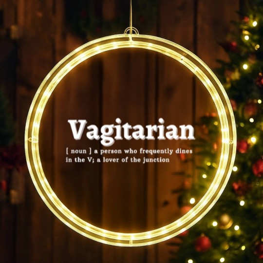 Discover Vagitarian LED Christmas Window Lights