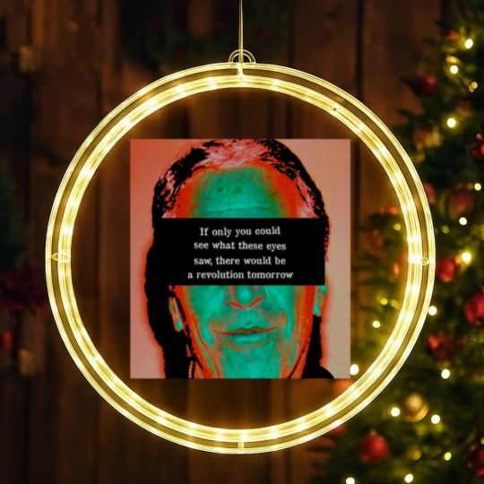 Discover Jeffrey Epstein Cover-up Protest LED Christmas Window Lights