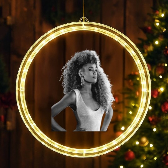 Discover Whitney Houston LED Christmas Window Lights