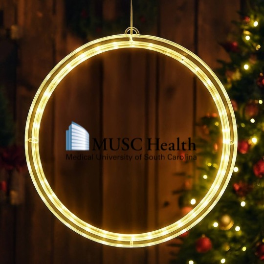 Discover Musc LED Christmas Window Lights