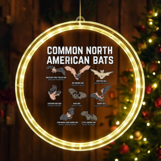 Discover Common North American Bats LED Christmas Window Lights