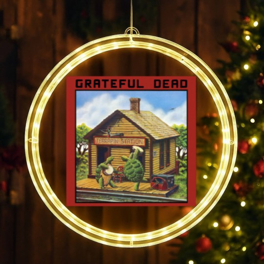 Discover Terrapin Station LED Christmas Window Lights