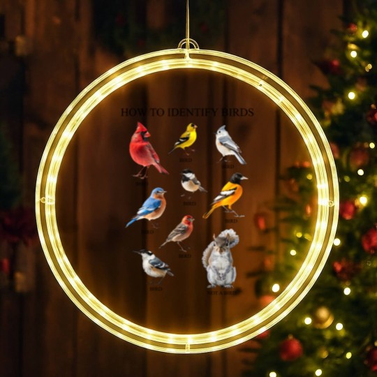 Discover Bird LED Christmas Window Lights, How to Identify Birds LED Christmas Window Lights