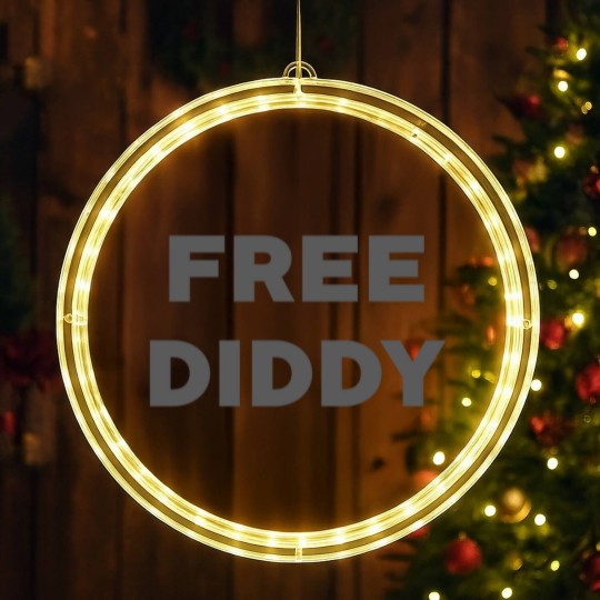 Discover Free Diddy , Funny Puffy LED Christmas Window Lights, Offensive LED Christmas Window Lights