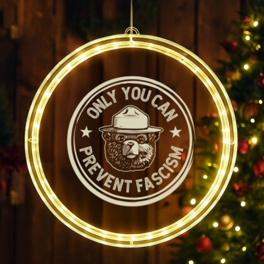Discover Vintage Smokey The Resist Bear Only You Can Prevent Fascism Unisex LED Christmas Window Lights