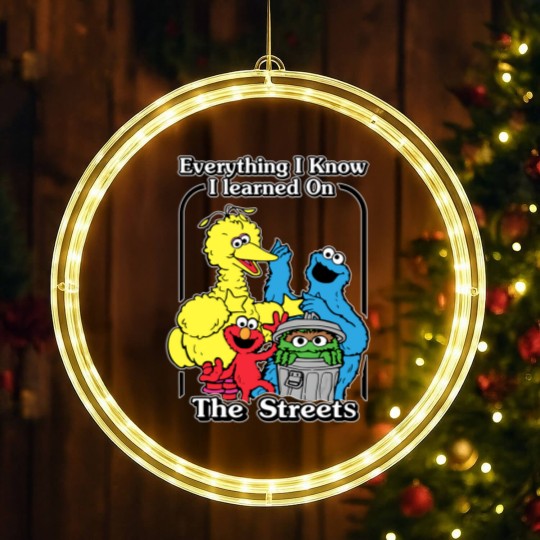 Discover everything i know i learned on the streets funny men women t LED Christmas Window Lights