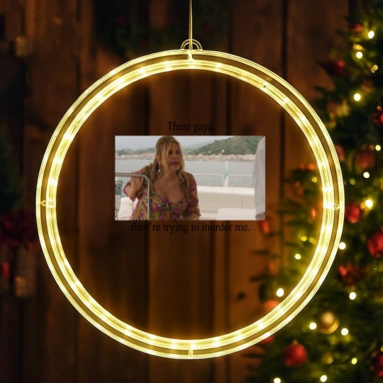 Discover White Lotus Jennifer Coolidge These Gays Tanya Coolissance TV Show LED Christmas Window Lights