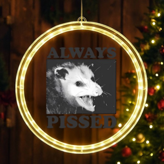 Discover Always Pissed Funny Opossum Eat Trash Be Free LED Christmas Window Lights