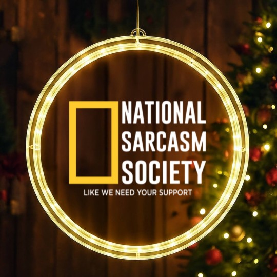 Discover national sarcasm society LED Christmas Window Lights