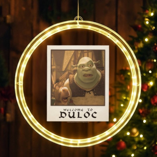 Discover Shrek Welcome To Duloc Shrek And Donkey Polaroid LED Christmas Window Lights