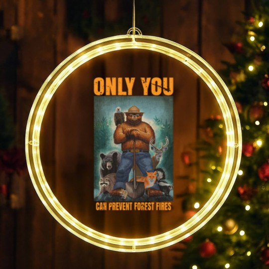 Discover smuky the bear - only you can prevent forest fires Classic LED Christmas Window Lights