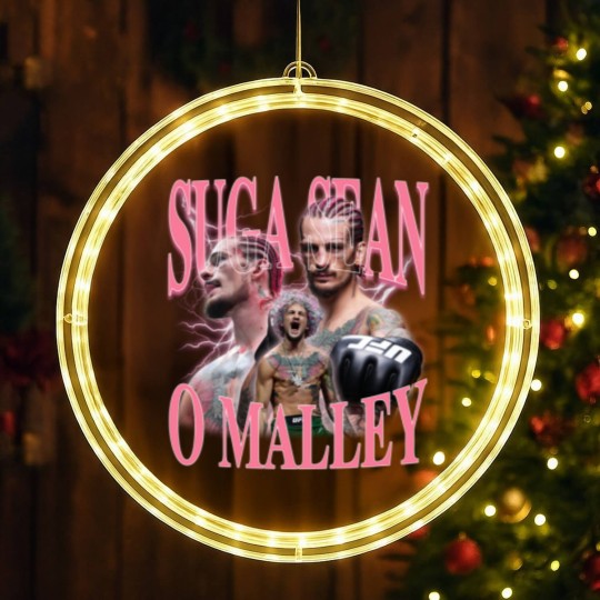 Discover Suga Sean OMalley LED Christmas Window Lights
