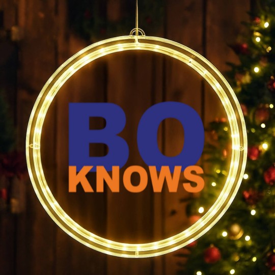 Discover BO KNOWS LED Christmas Window Lights