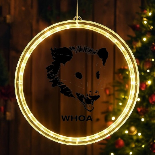 Discover Possum - Phish - LED Christmas Window Lights