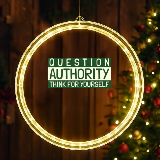 Discover Question Authority LED Christmas Window Lights