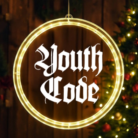 Discover youth code LED Christmas Window Lights