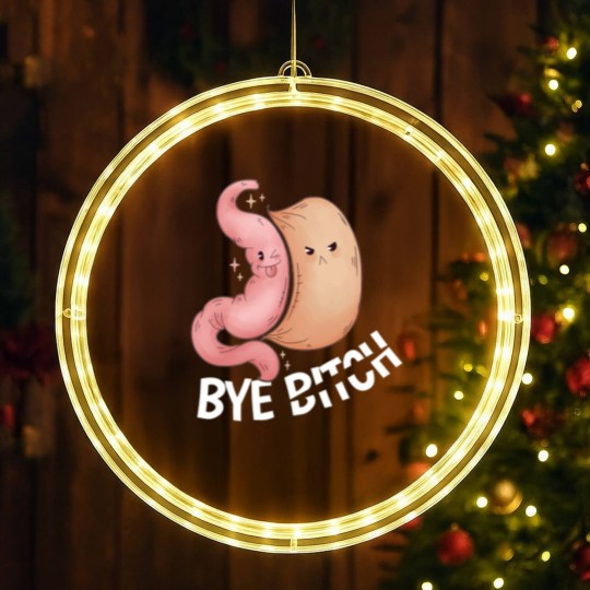 Discover Gastric Bariatric Gastric Surgery Weight Loss LED Christmas Window Lights