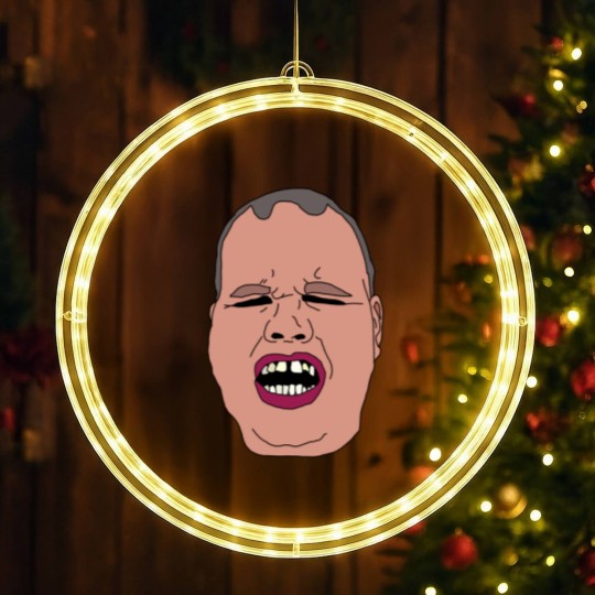 Discover Frankie Macdonald LED Christmas Window Lights