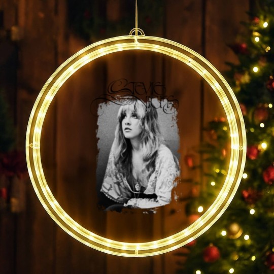 Discover Stevie Nicks Fleetwood Mac 1970's Rock N Roll Band Concert LED Christmas Window Lights