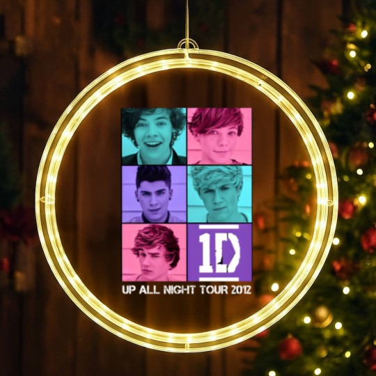 Discover Up All Night Tour 2012 Harry selfie One direction LED Christmas Window Lights Merch