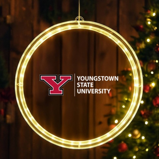 Discover Youngstown State University Established 1908 LED Christmas Window Lights