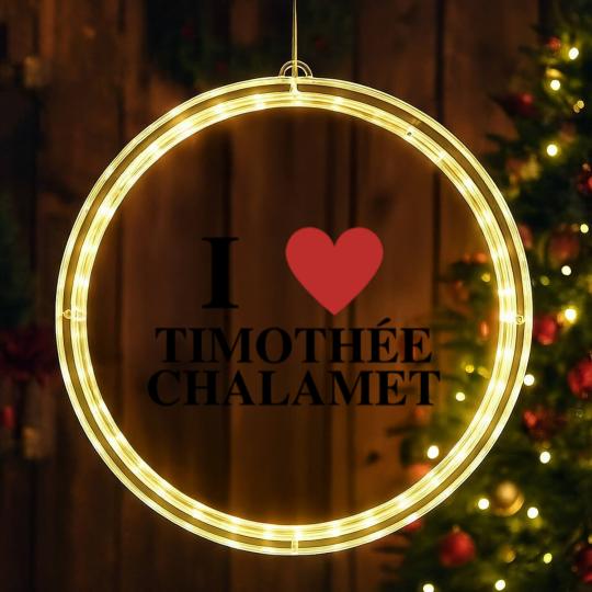 Discover Timothee Chalamet March, I love Timothee LED Christmas Window Lights