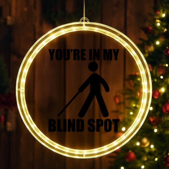Discover You're In My Blind Spot LED Christmas Window Lights