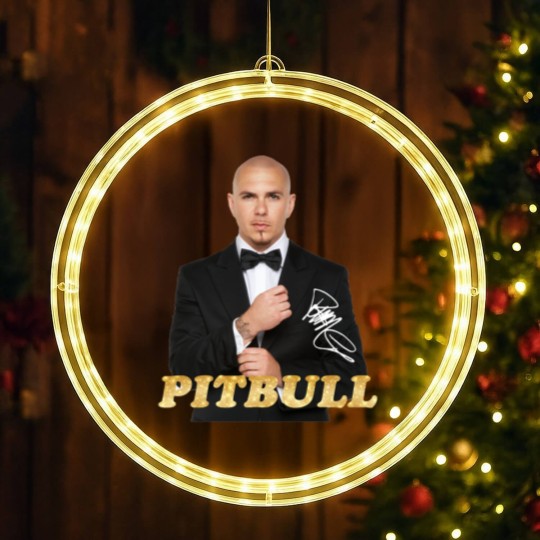 Discover Pitbull Rapper 2023 with Signature LED Christmas Window Lights