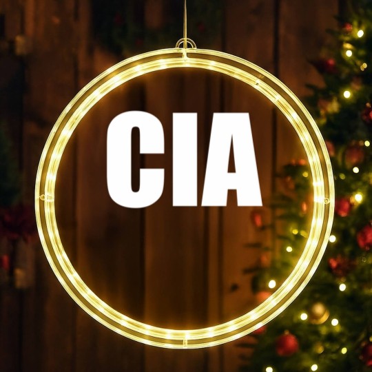 Discover Cia Central Intelligence Agency LED Christmas Window Lights