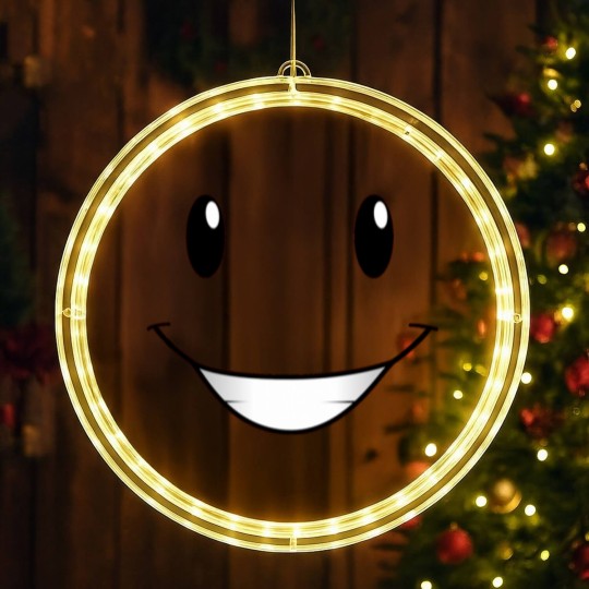 Discover Face From Nick Junior LED Christmas Window Lights
