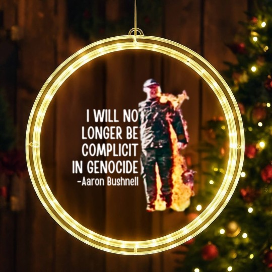 Discover Aaron Bushnell, Us airman - Aaron Bushnell LED Christmas Window Lights