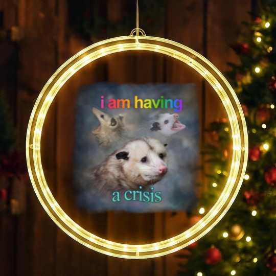 Discover I am having a crisis possum word art Classic LED Christmas Window Lights