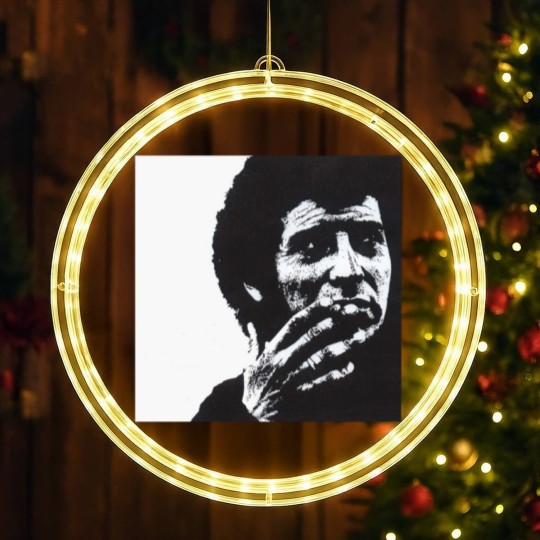 Discover Victor Jara LED Christmas Window Lights