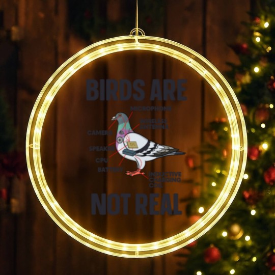 Discover Birds Are Not Real LED Christmas Window Lights