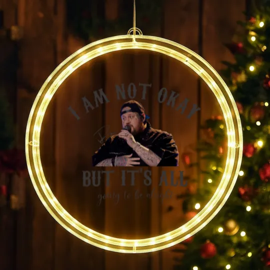 Discover I'm not okay- Jellyroll- Unisex Heavy Cotton LED Christmas Window Lights