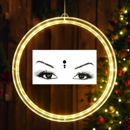 Discover Queen of the South LED Christmas Window Lights