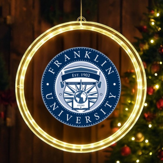 Discover Franklin University Established 1902 LED Christmas Window Lights
