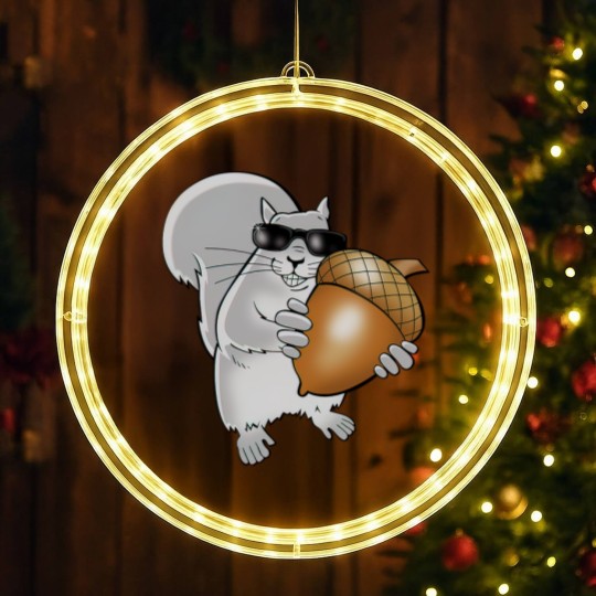 Discover blind squirrel LED Christmas Window Lights