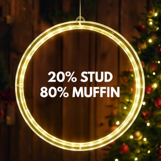 Discover 20% Stud 80% Muffin LED Christmas Window Lights - Funny Humor Tees