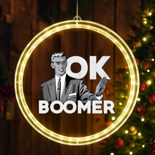 Discover Funny Millennial OK Boomer Humor  Saying LED Christmas Window Lights