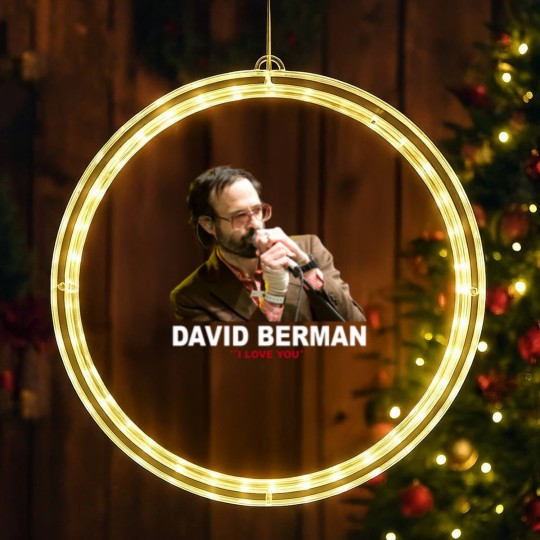 Discover David Berman LED Christmas Window Lights