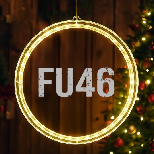 Discover FU46 LED Christmas Window Lights