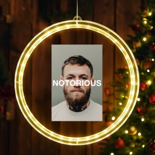 Discover Connor McGregor Mugshot Notorious - Connor Mcgregor Mugshot - LED Christmas Window Lights