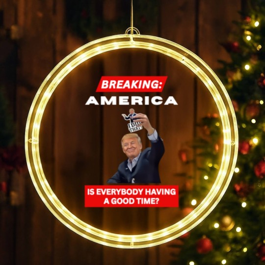 Discover BREAKING AMERICA Anti-Trump Tariffs HANDS OFF 2025 Protest LED Christmas Window Lights